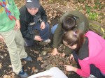 Patrolni sastanak u šumi Ljeskovac (7.11.2010)